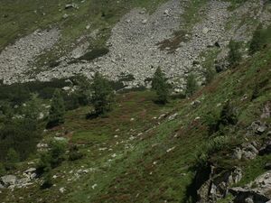 Eiskar 3614 2005-07-04.JPG