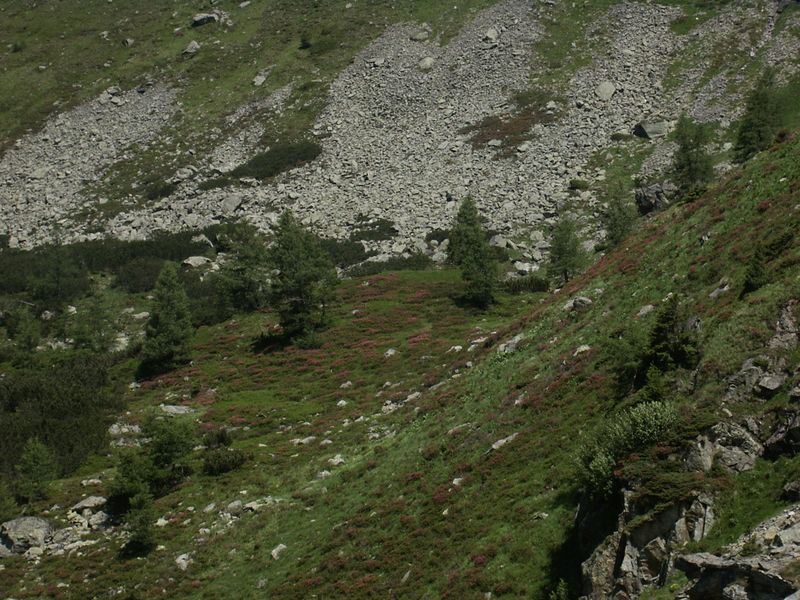 Datei:Eiskar 3614 2005-07-04.JPG