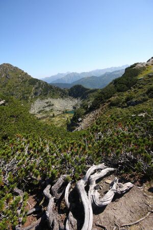 Gasselhöhe 36191 2011-08-26.jpg