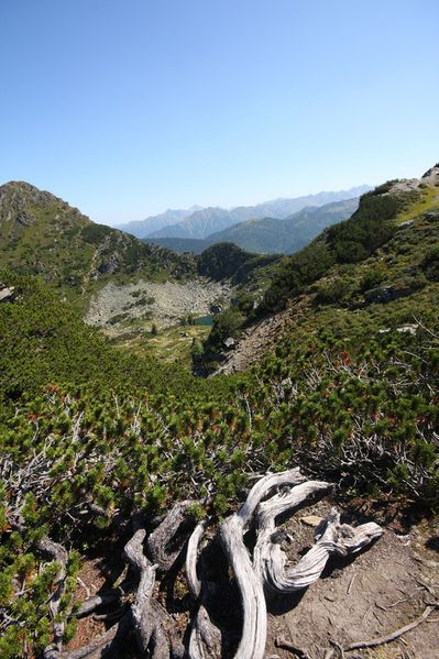 Datei:Gasselhöhe 36191 2011-08-26.jpg