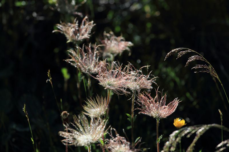 Datei:Gumpenkar 53228 2017-07-05.jpg