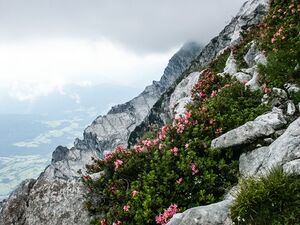 Kasten -Grimming-1007-2005-08-13-2.jpg