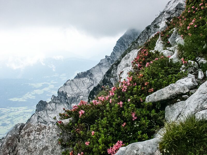Datei:Kasten -Grimming-1007-2005-08-13-2.jpg