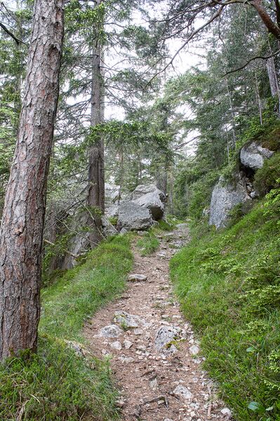 Datei:Kirchweg pürgg-0372-2023-05-27.jpg