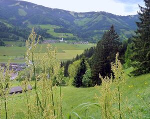 Lassing bei Selzthal0012.JPG