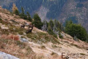 PlanaiHWIMG 3333.jpg