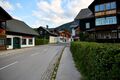 Puchen-067-2026-07-24.jpg