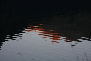 Riesachsee 35443 2011-08-18.jpg