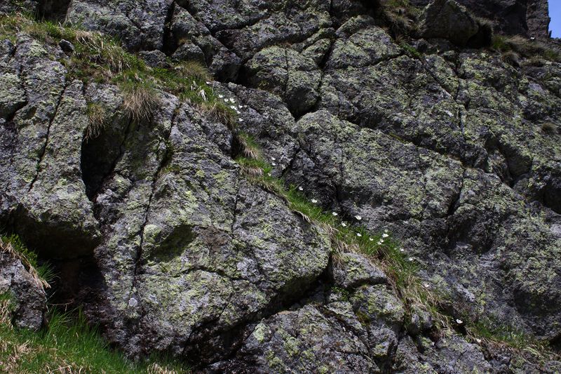 Datei:Sabinkar 89858 2015-06-08.jpg