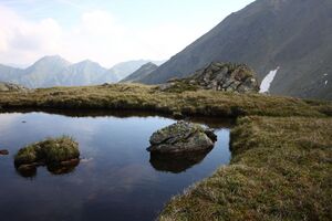 Sabinkar 90015 2015-06-08.jpg