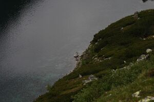 Schimpelsee 907 13-06-27.jpg