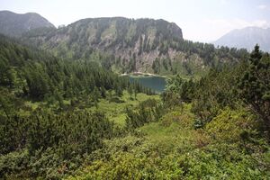 Steirersee nord 51424 2017-06-24.jpg