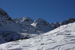 Tristhof-wildkar 44957 2014-03-09.jpg