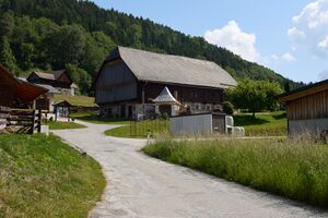 Vlg pemser gatschling-1000-2023-06-14-2.jpg