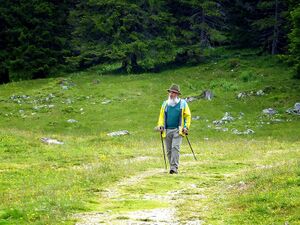 Almfest viehbergalm124.JPG