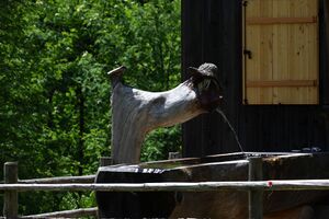 Beireutalm 90060 2015-06-08.jpg