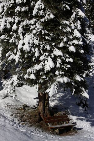 Bodensee 26626 2014-01-01.jpg