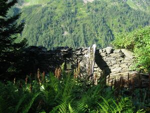 Brandalm Riesach003.jpg