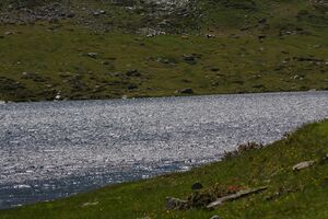 Giglachsee 1237 2011-06-22.jpg