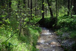 Gradenbach 2166 2008-05-29.jpg