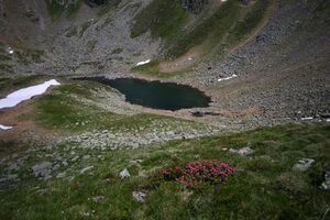 Hüttkarseen im Hüttkar 39448 2012-06-29.jpg