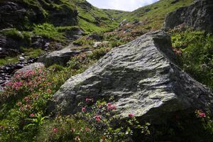 Herzmaierkar 32585 2011-07-06.jpg