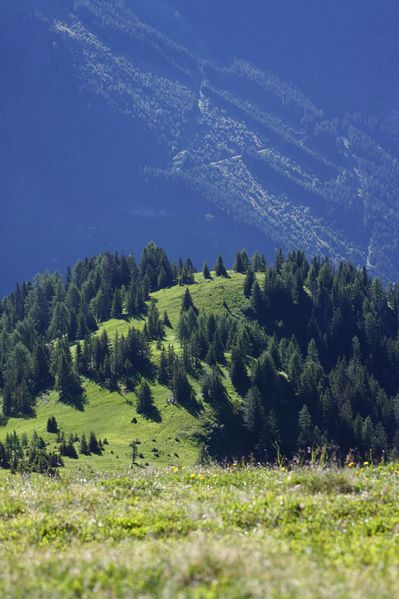 Datei:Hopfgarteneben 94866 2015-07-11.jpg