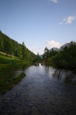 Im wildkar 23551 2008-06-26.jpg