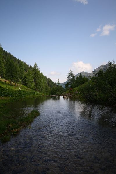 Datei:Im wildkar 23551 2008-06-26.jpg