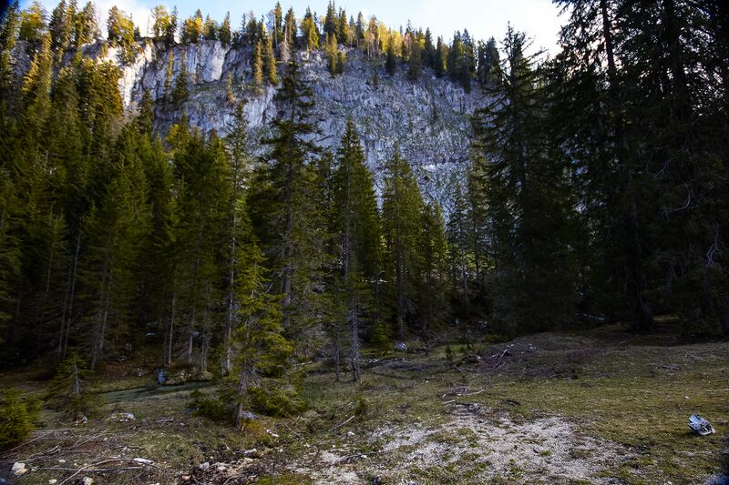 Datei:Klobenwand -öderntal 20-05-07 1179.jpg