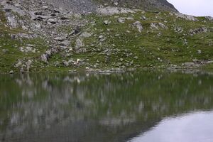 Knappensee westliche-18-2014-08-07.jpg