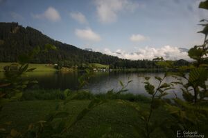 Putterersee 7872.jpg