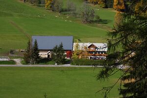 Rausch ramsau 05862 2015-10-09.jpg