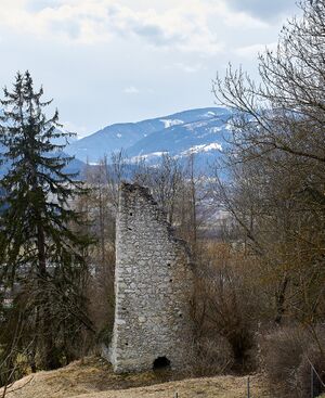 Ruine oberstainach-0062-2023-03-10.jpg