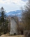 Ruine oberstainach-0062-2023-03-10.jpg