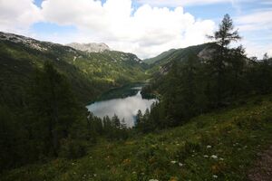 Steirersee 1648 2011-08-05.jpg