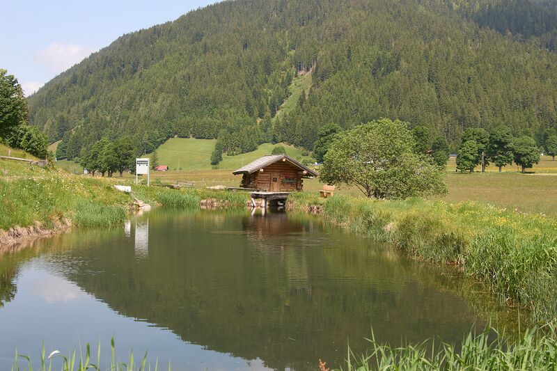 Datei:Sternenplatz ramsau-0029-2025-06-09.jpg