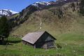 Strickeralm 55522 2014-05-02.jpg