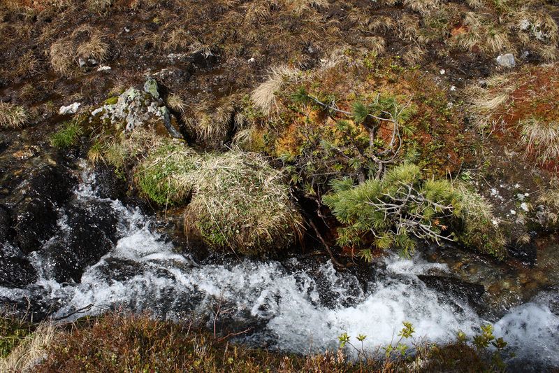Datei:Strickerbach im strickerkar 55447 2014-05-02.jpg