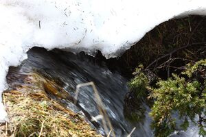 Strickerkar 55685 2014-05-02.jpg