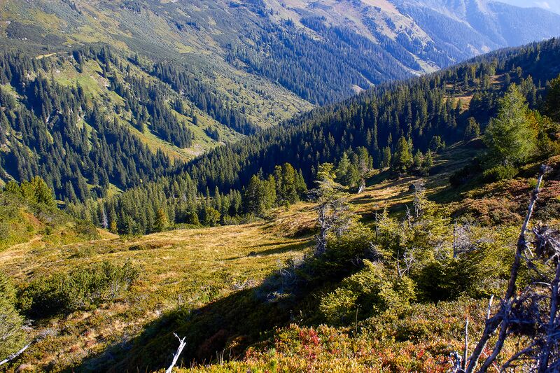 Datei:Weißgullingtal plienten-10-2021-09-04-3.jpg