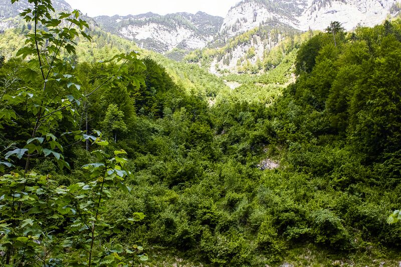 Datei:Weitgraben koppental-11-2021-06-08.jpg