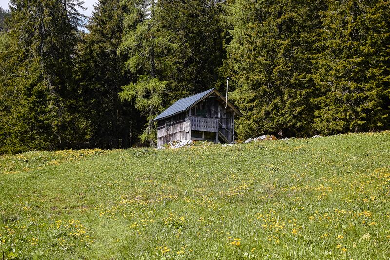Datei:Ausseer Teltschenalm-104-2020-05-27.jpg