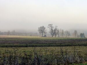 Ennswiesen beim Ortsteil Moorwirtschaft-Admont.JPG