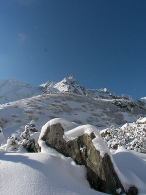 Im stegerkar 47952 2007-01-26.jpg