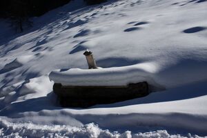 Knallalm 44307 2014-02-28.jpg