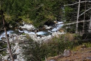 Neualmbach kleinsölk 72501 2014-09-17.jpg