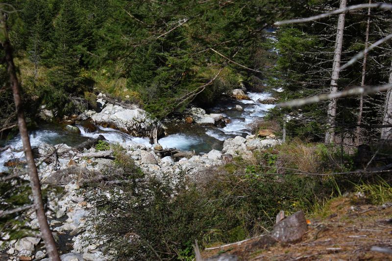 Datei:Neualmbach kleinsölk 72501 2014-09-17.jpg