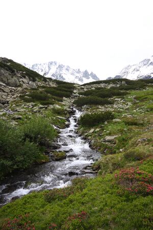 Schimpelbach 1422 13-06-27.jpg