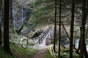 Strubschlucht 34037 2014-01-17.jpg